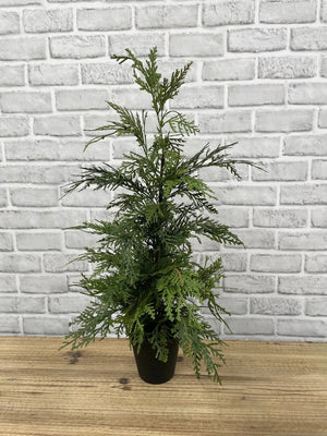 Northern White Cedar Tree potted fresh touch 24" (82006)