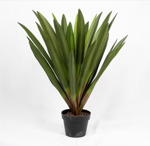 32" Amaryllis Indoor/Outdoor Plant