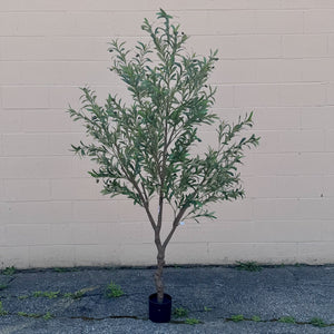 84" Olive Tree (510W102)