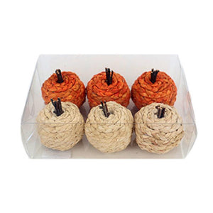 Pumpkin Boxed Set of 6 (47956)