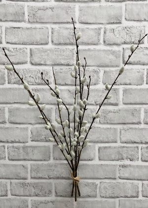 Pussy Willow Bundle 9 branches 21.5" (11452)
