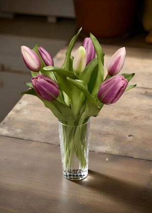 Tulips Light Plum 12 inch (10194LTPLUM)