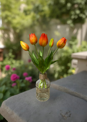 Tulip Bundle Mini Wild Orange 10"