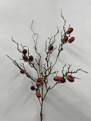 Twig Branch Acorn 34.5" (11684)