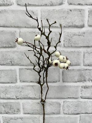 Berry Pick Outdoor Cream 15.5" (81990CM)