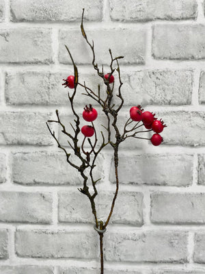 Berry Pick Outdoor Matte Red 15.5" (81990MATTRED)