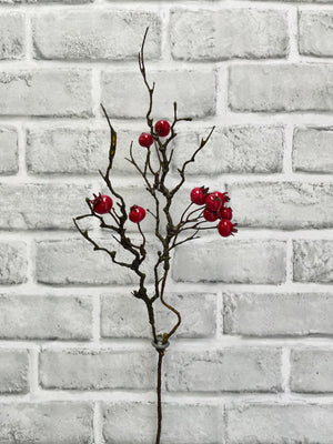 Berry Pick Outdoor Shiny Red 15.5" (81990SHINYRED)