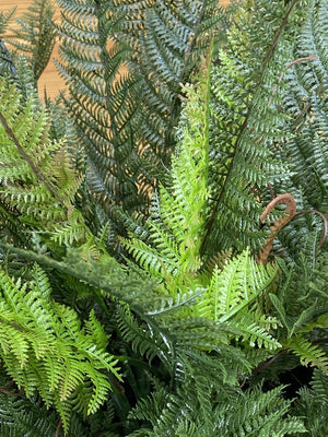 Fern 3ft Wide-Not Just For The Garden | Metal Art | Décor for Homes, Walls and Gardens | Furniture | Custom Garden Planters and Flower Arrangements | Gifts | Best in KW