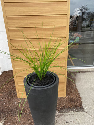 Onion Grass Bright Green-Not Just For The Garden | Metal Art | Décor for Homes, Walls and Gardens | Furniture | Custom Garden Planters and Flower Arrangements | Gifts | Best in KW