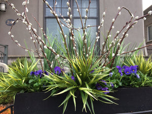 Spring Planter all faux & Fresh-Not Just For The Garden | Metal Art | Décor for Homes, Walls and Gardens | Furniture | Custom Garden Planters and Flower Arrangements | Gifts | Best in KW