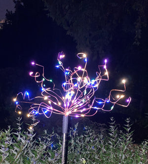Solar Fireworks Garden Stake-Not Just For The Garden | Metal Art | Décor for Homes, Walls and Gardens | Furniture | Custom Garden Planters and Flower Arrangements | Gifts | Best in KW